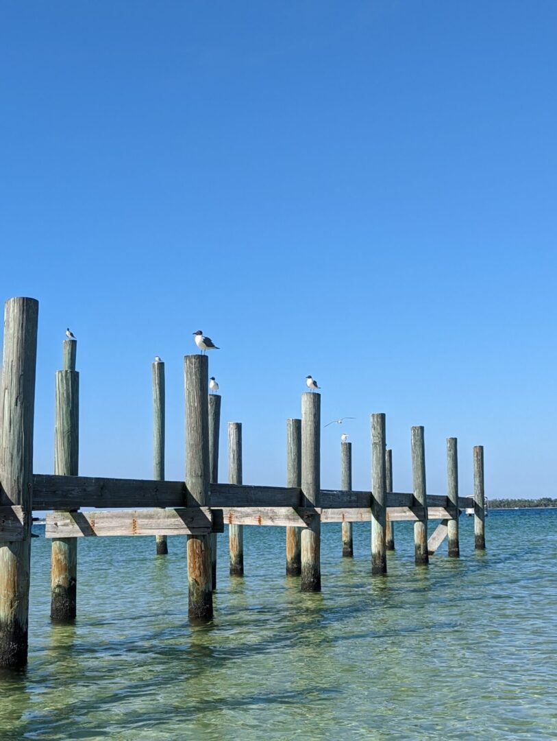 A pier with seagulls sitting on it's sides.