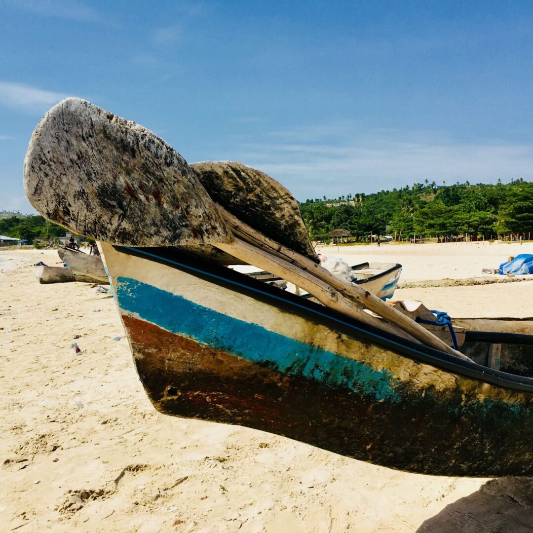 A boat on the beach with trees in the background.