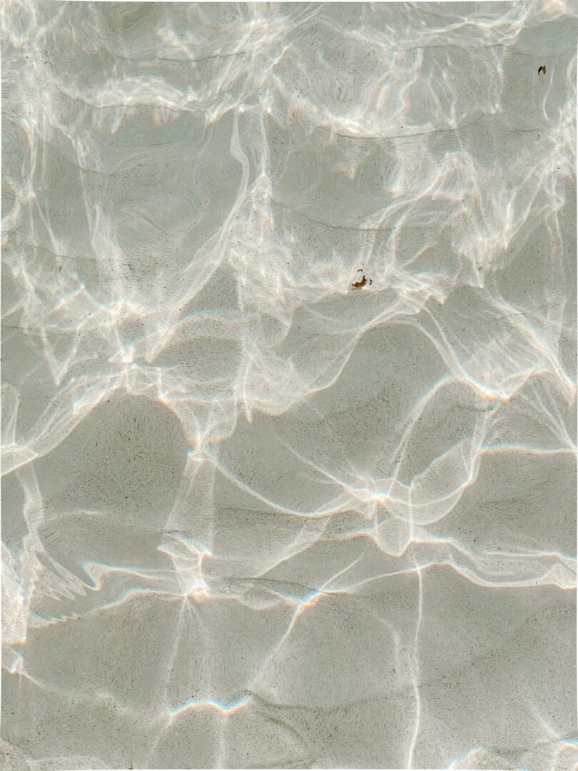 A close up of the water surface with a small fish swimming in it.
